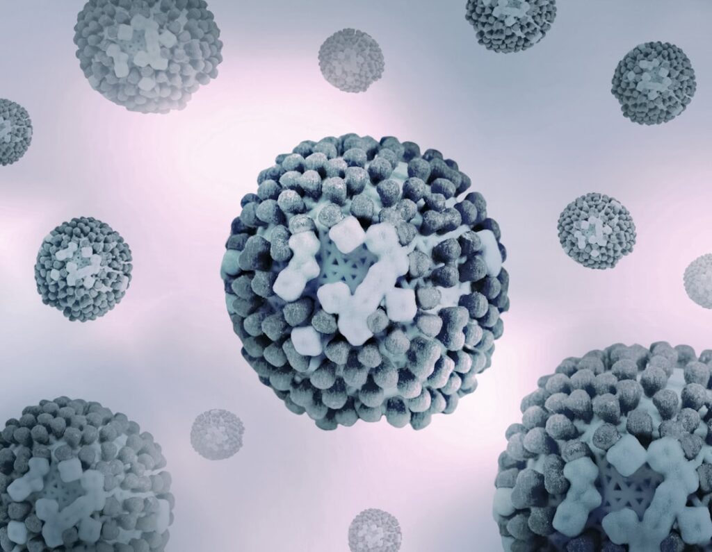 Brii Bio's HBV Data Shows Promising Post-Treatment Durability a close up of a bunch of balls of stuff