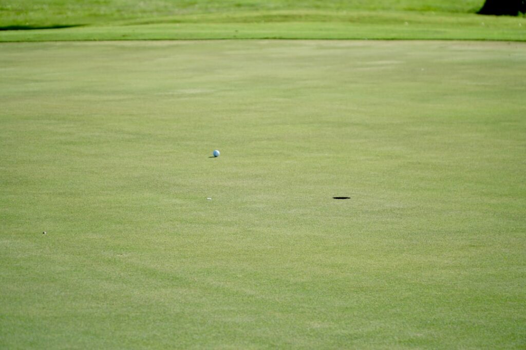 Fitzpatrick Brothers Triumph at Zurich Classic green grass field with blue ball