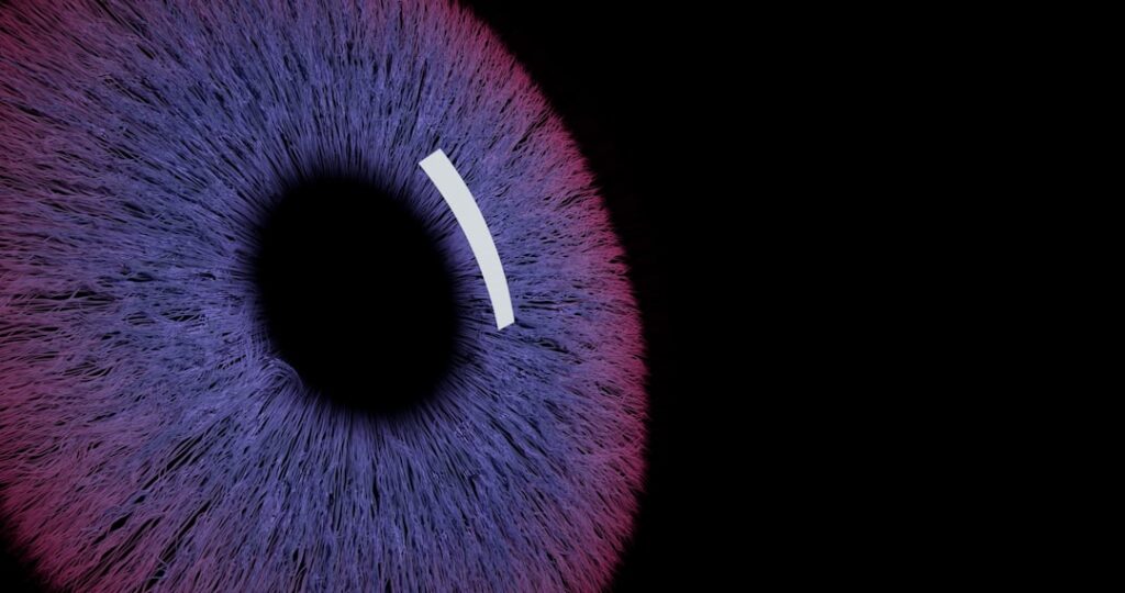 Tinder and Zoom Deploy Iris Scanning to Verify Real Users Close-up of a purple iris with a black pupil.