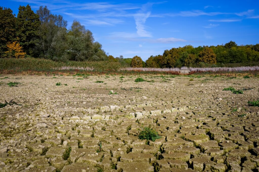 Virginia American Water's Earth Day Push for Water Conservation Dry cracked earth with sparse green plants and trees.