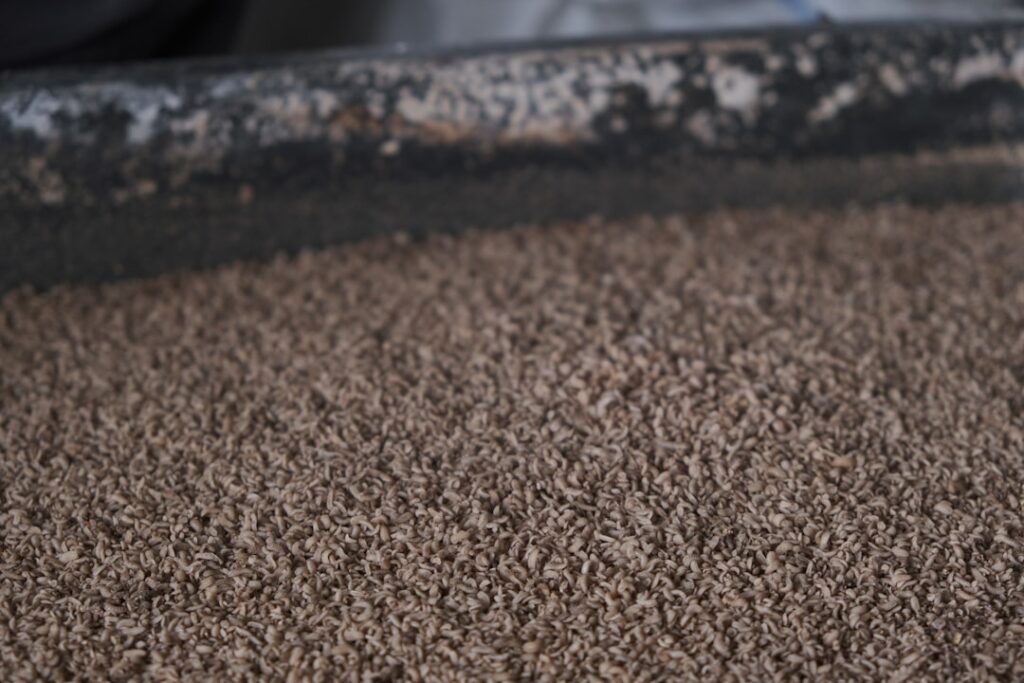 X's AI Feeds Replace Communities With Grok Curation a close up of a gravel surface
