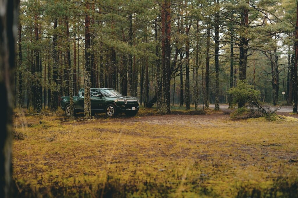 Ford's $30K Electric Truck Skunk Works Reshapes EV Future Dark suv parked in a dense pine forest clearing.