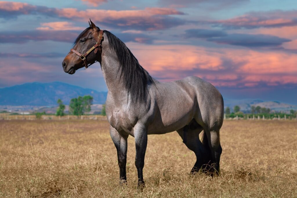 Megan Thee Stallion's Social Media Strategy Goes Beyond Views brown horse on brown grass field during daytime